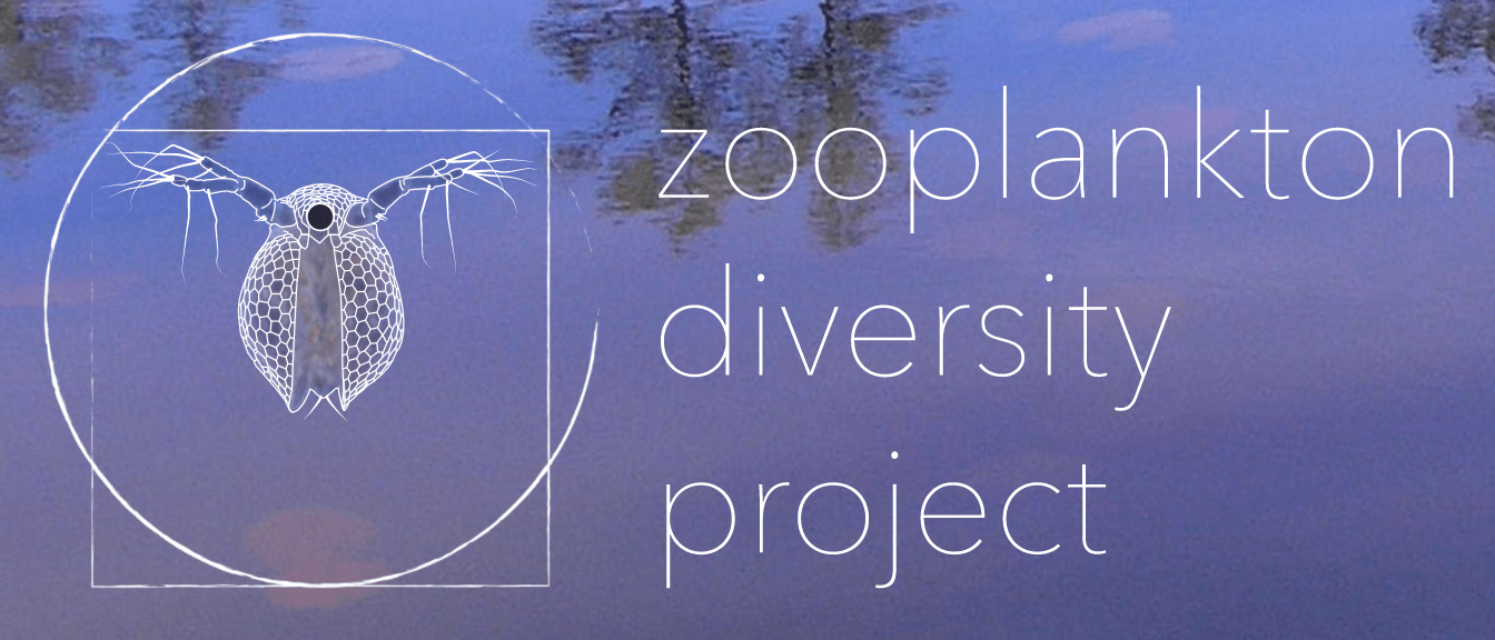 Zooplankton Diversity Project